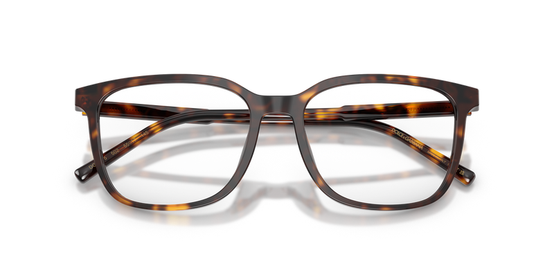 Dolce & Gabbana DG3445 in Havana / Demo Lens (502) - Alternate View