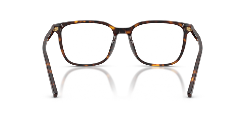 Dolce & Gabbana DG3445 in Havana / Demo Lens (502) - Alternate View