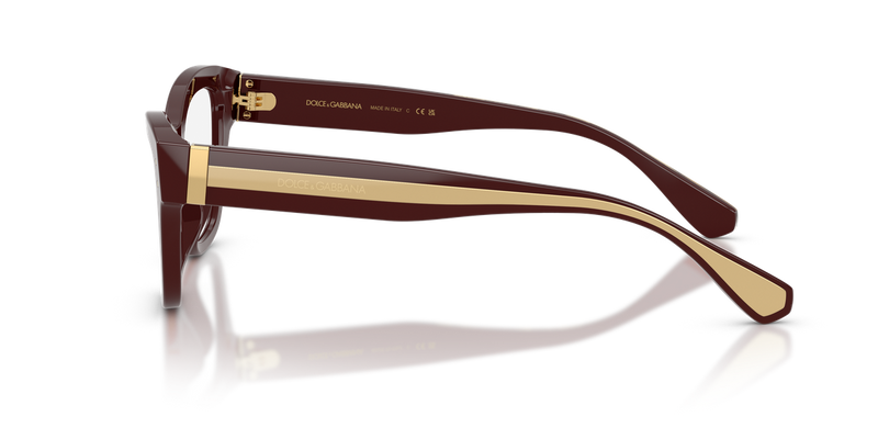 Dolce & Gabbana DG3448 in Chocolate - Alternate View