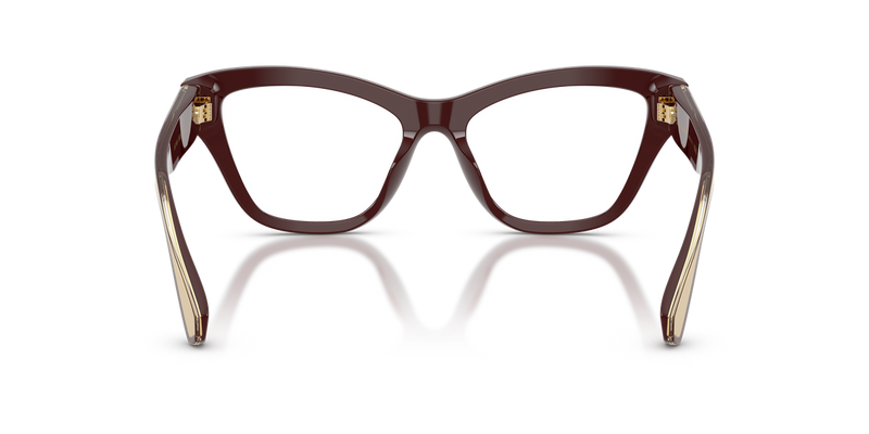 Dolce & Gabbana DG3448 in Chocolate - Alternate View