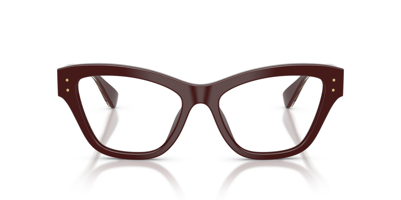 Dolce & Gabbana DG3448 in Chocolate - Alternate View