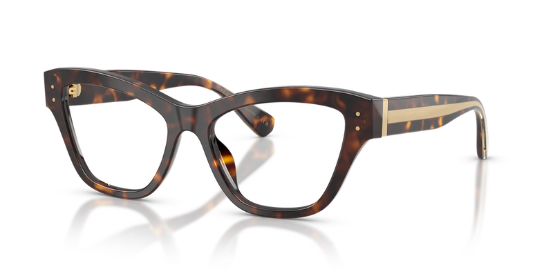 Dolce & Gabbana DG3448 in Havana - Alternate View