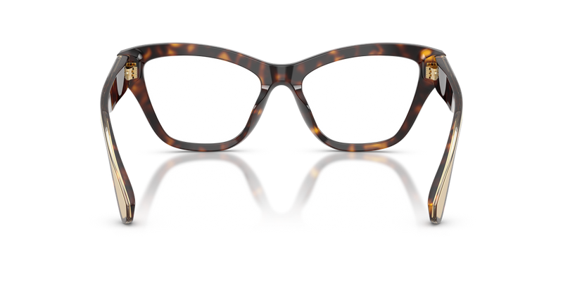 Dolce & Gabbana DG3448 in Havana - Alternate View