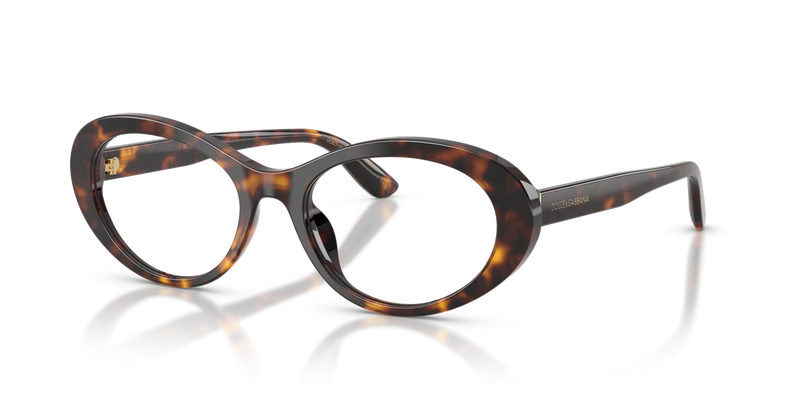 Dolce & Gabbana DG3450 in Havana - Alternate View