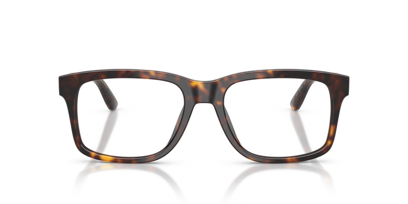 Dolce & Gabbana DG3453 in Havana - Alternate View