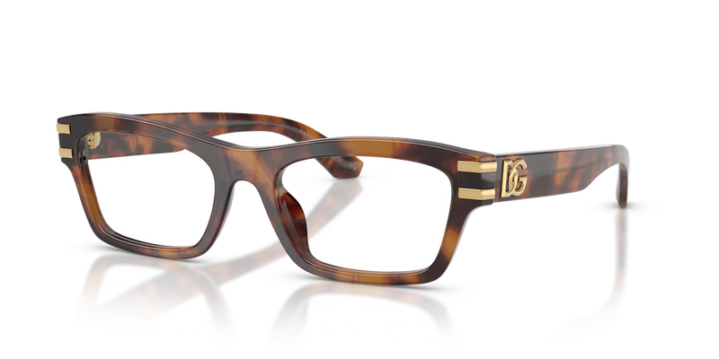 Dolce & Gabbana DG3454 in Red Havana - Alternate View
