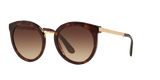 Havana / Light & Dark Brown Gradient (502/13)