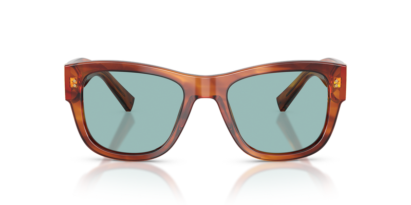 Dolce & Gabbana DG4338 in Havana Ginger / Blue (322180) - Alternate View