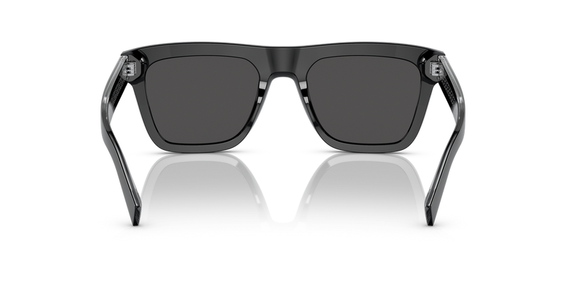 Dolce & Gabbana DG4420F in Black / Dark Grey (501/87) - Temple Detail
