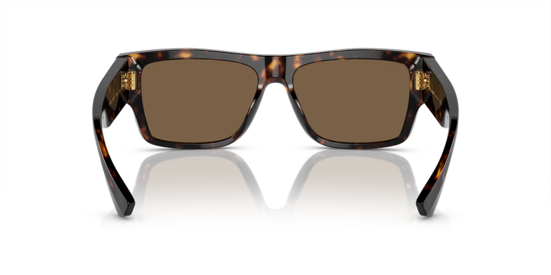 Dolce & Gabbana DG4451 in Havana / Dark Brown (502/73) - Alternate View