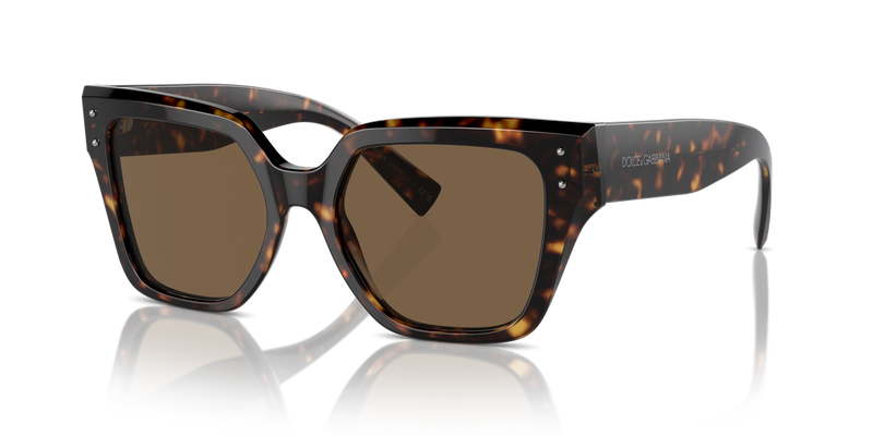 Dolce & Gabbana DG4471F in Havana / Dark Brown (502/73) - Alternate View