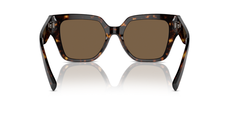 Dolce & Gabbana DG4471F in Havana / Dark Brown (502/73) - Alternate View