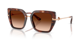 Havana / Brown Gradient (322274)