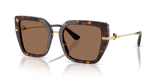 Havana / Dark Brown (502/73)
