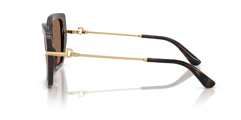 Dolce & Gabbana DG4474 in Havana / Dark Brown (502/73) - Back View