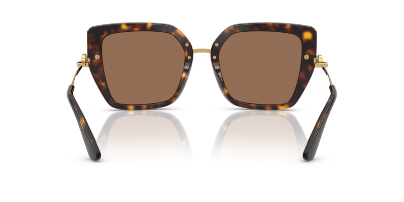 Dolce & Gabbana DG4474 in Havana / Dark Brown (502/73) - Temple Detail