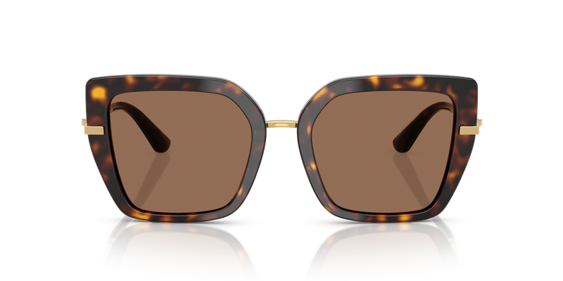 Dolce & Gabbana DG4474 in Havana / Dark Brown (502/73) - Alternate View