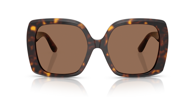Dolce & Gabbana DG4475 in Havana / Dark Brown (502/73) - Alternate View