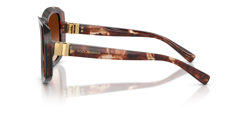 Dolce & Gabbana DG4495 in Dark Red Havana / Brown Gradient (322274) - Back View