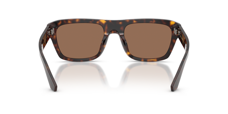 Dolce & Gabbana DG4496 in Havana / Dark Brown (502/73) - Alternate View