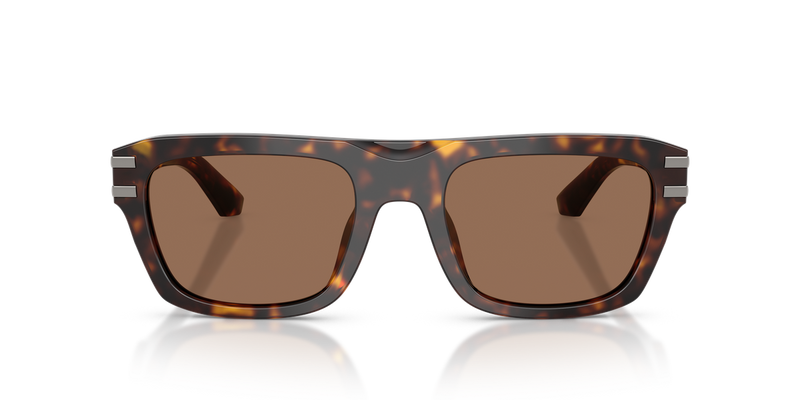 Dolce & Gabbana DG4496 in Havana / Dark Brown (502/73) - Alternate View