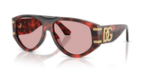 Red Havana / Light Violet (335884)