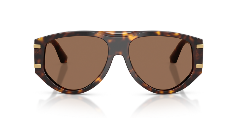 Dolce & Gabbana DG4499 in Havana / Dark Brown (502/73) - Alternate View