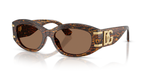 Leo Transparent / Dark Brown (347073)