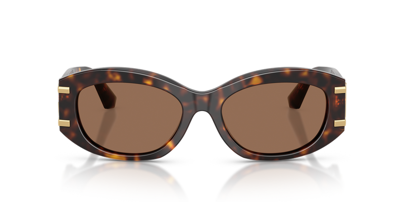 Dolce & Gabbana DG4502 in Havana - Alternate View