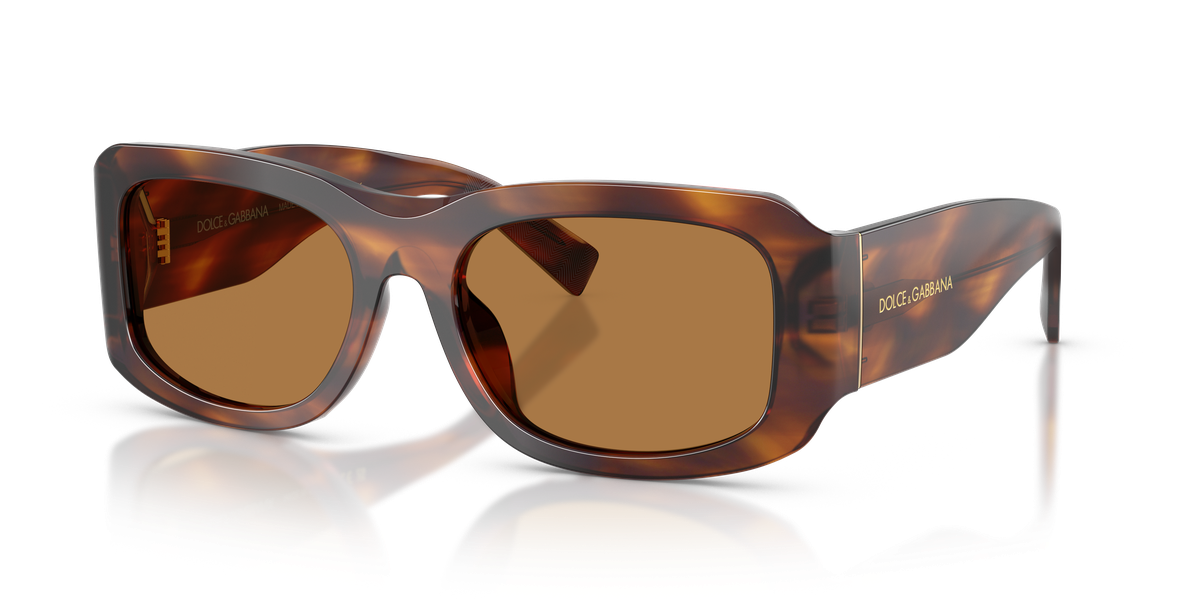Dolce & Gabbana DG4503