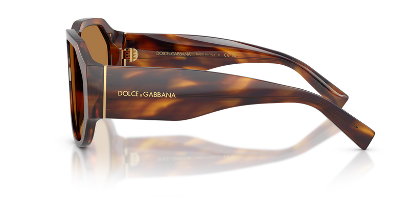 Dolce & Gabbana DG4504 in Striped Brown / Bronze (306373) - Back View