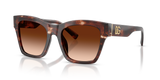 Dark Red Havana / Brown Gradient (322274)