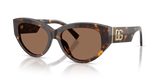 Havana / Dark Brown (502/73)