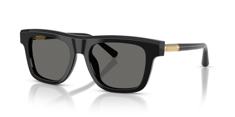 Dolce & Gabbana DG4521 in Black / Grey (501/1) - Alternate View