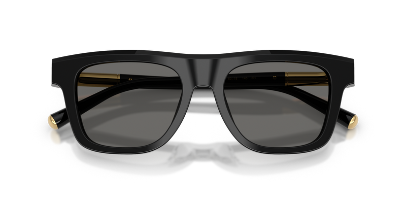 Dolce & Gabbana DG4521 in Black / Grey (501/1) - Alternate View