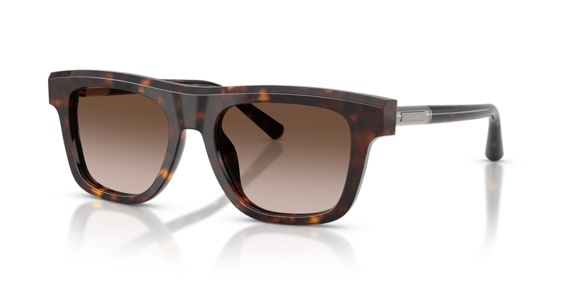 Dolce & Gabbana DG4521 in Havana / Gradient Brown (502/13) - Alternate View