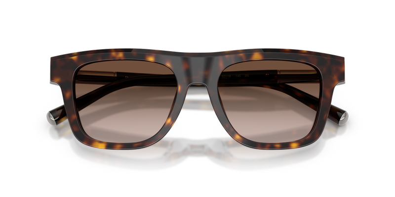 Dolce & Gabbana DG4521 in Havana / Gradient Brown (502/13) - Alternate View