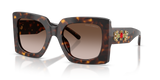 Havana / Gradient Brown (502/13)