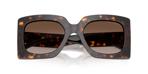 Havana / Gradient Brown (502/13)