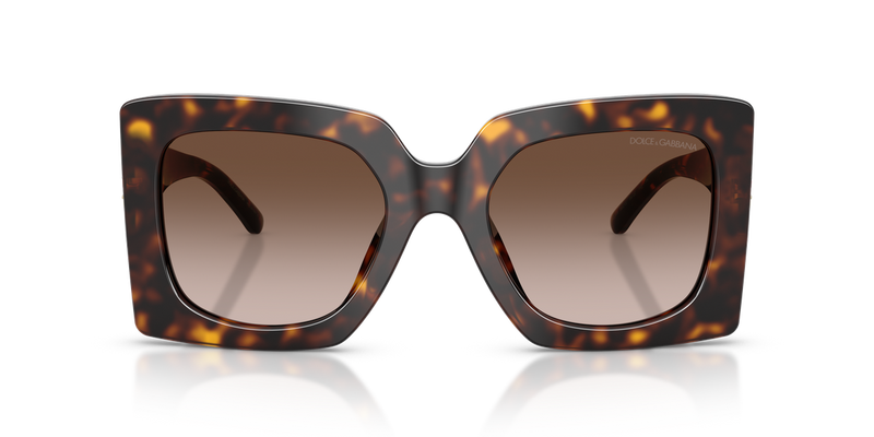 Dolce & Gabbana DG4525B in Havana / Gradient Brown (502/13) - Alternate View