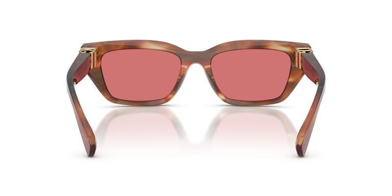 Dolce & Gabbana DG4532 in Striped Brown / Red (322175) - Temple Detail