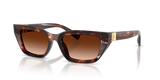 Dark Red Havana / Brown Gradient (322274)