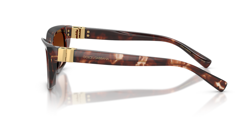 Dolce & Gabbana DG4532 in Dark Red Havana / Brown Gradient (322274) - Alternate View