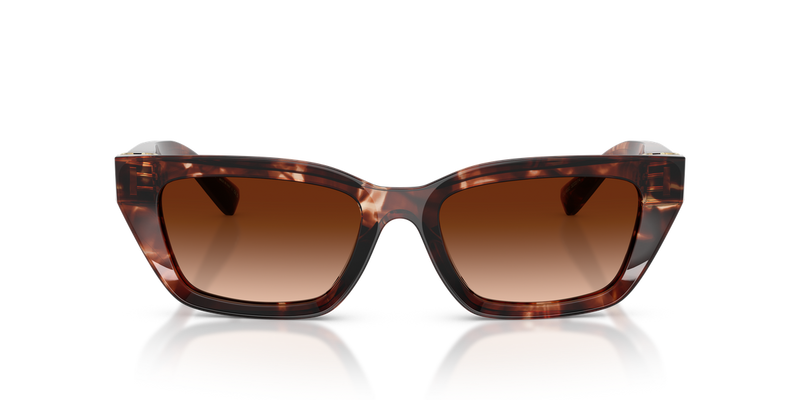 Dolce & Gabbana DG4532 in Dark Red Havana / Brown Gradient (322274) - Alternate View