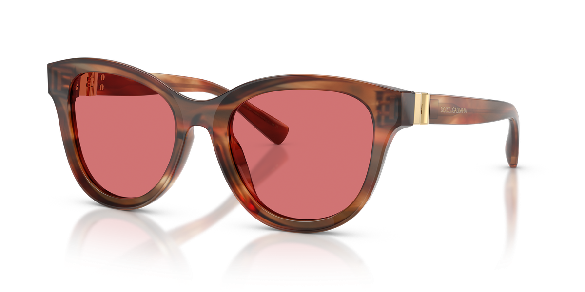 Dolce & Gabbana DG4533
