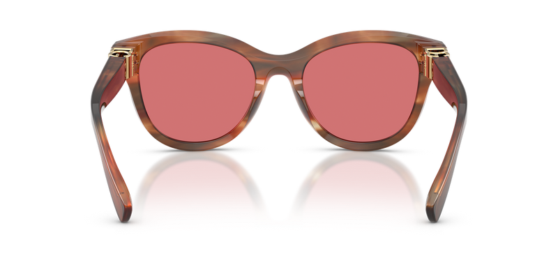 Dolce & Gabbana DG4533 in Striped Brown / Red (322175) - Temple Detail