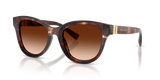 Dark Red Havana / Brown Gradient (322274)