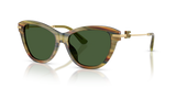 Striped Green Transparent / Dark Green (347571)