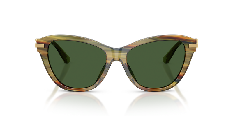 Dolce & Gabbana DG4534 in Striped Green Transparent / Dark Green (347571) - Alternate View
