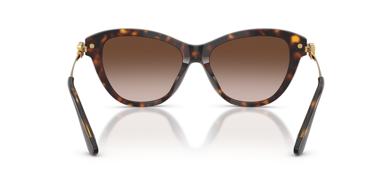 Dolce & Gabbana DG4534 in Havana / Light Brown Gradient Dark Brow (502/13) - Alternate View
